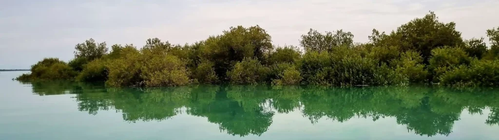 گیاهان بومی بوشهر