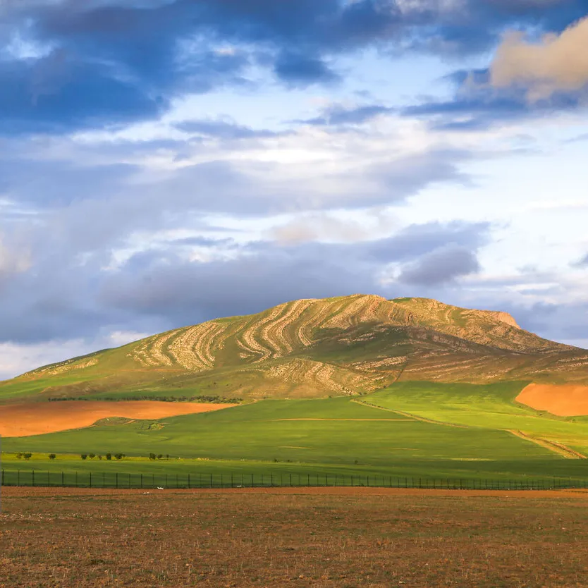 گیاهان بومی خراسان شمالی