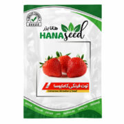 بذر توت فرنگی