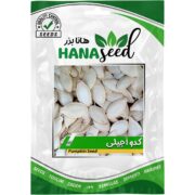  بذر کدو آجیلی