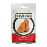  بذر کدو حلوایی نارنجی