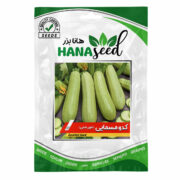 بذر کدو خورشتی