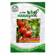 بذر گوجه فرنگی بوته‌ ای 