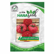 بذر گوجه گلخانه‌ ای