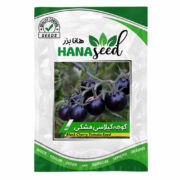 بذر گوجه گیلاسی مشکی 