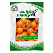 بذر گوجه گیلاسی نارنجی 